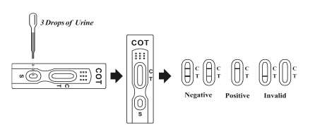 cotinine_test