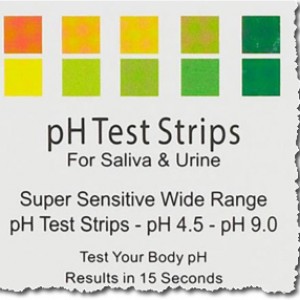 ph test kits