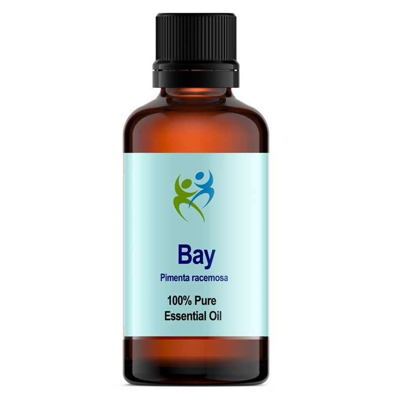 Bay Essential Oil (Pimenta racemosa) 10ml