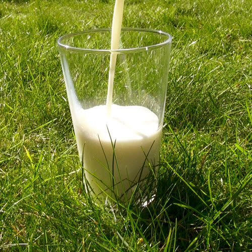 The Common Symptoms Of Milk Allergy Zoom Health The Common Symptoms Of Milk Allergy Zoom Health