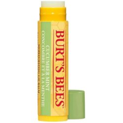 Burt’s Bees Cucumber Mint Lip Balm