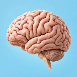Alzheimer's Disease