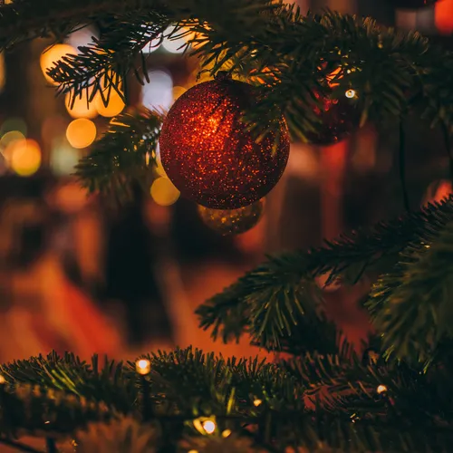 'Tis the Season for...Allergies? The Truth about Christmas Tree Syndrome
