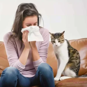 Cat Allergy Help: Tips for Coping with Pet Allergies at Home
