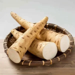 Wild Yam - Zoom Health