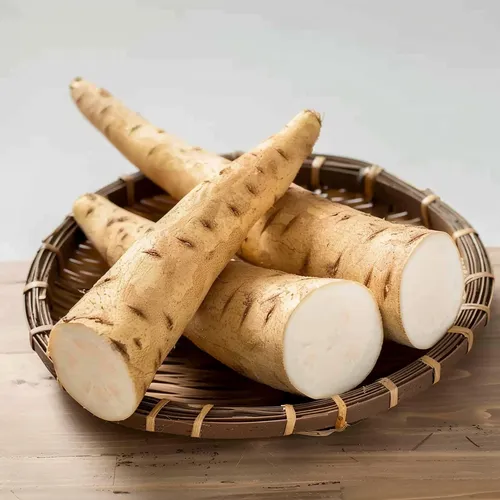 Wild Yam - Zoom Health