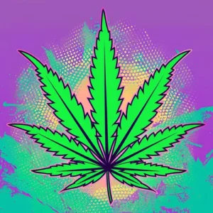 cannabis