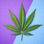 annabis in the Workplace: What Employers and Employees Need to Know About Testing
