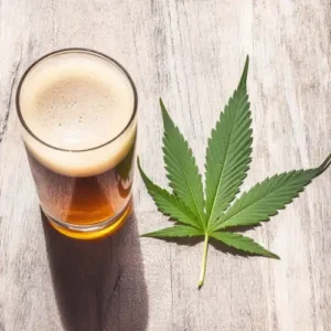 The Complete Guide to Drug and Alcohol Testing: Eight Guides for Employers, Parents and Anyone Who Needs Answers